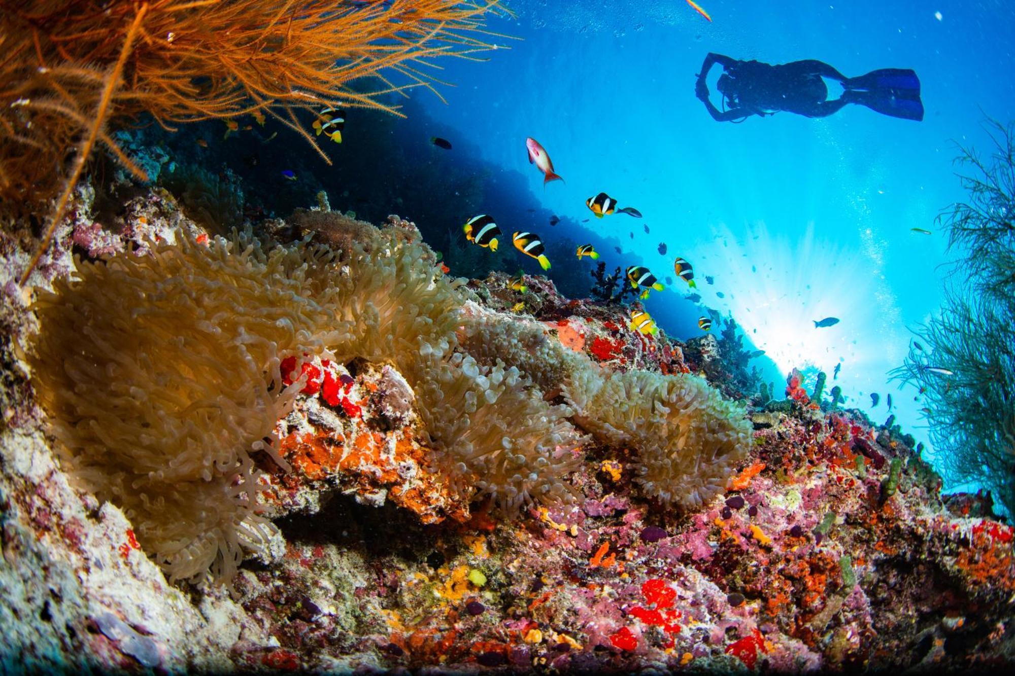 Noku Maldives, Vignette Collection By Ihg, 50 Percent Off Shared Roundtrip Seaplane Transport When You Stay 4 Nights Or More Stay Period Until 23 Dec 2025 (Adults Only) Kudafunafaru Exterior photo